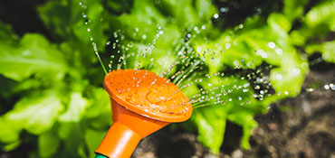 watering can image