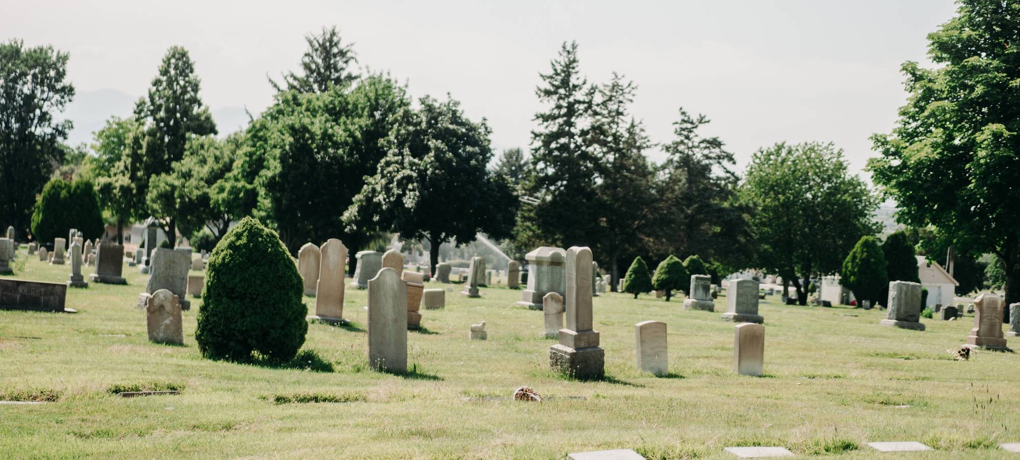 cemetery headstones